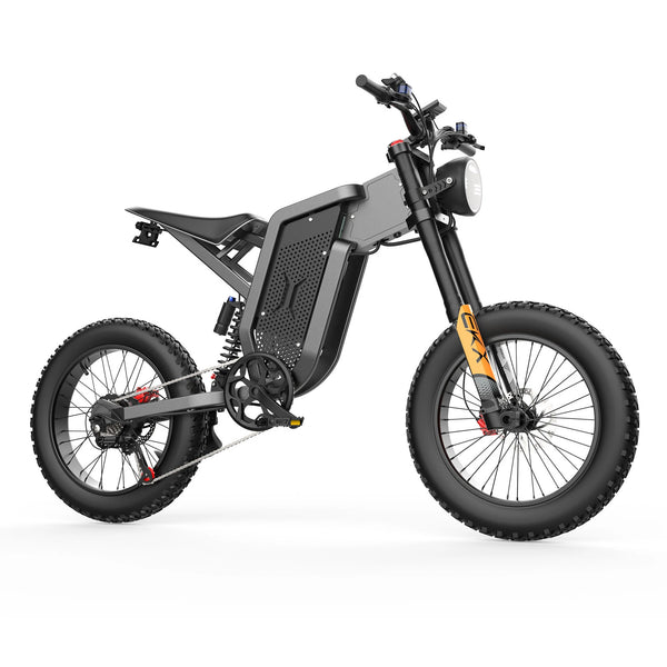 GTXR X21 tout-terrain vélo électrique【Prévente】