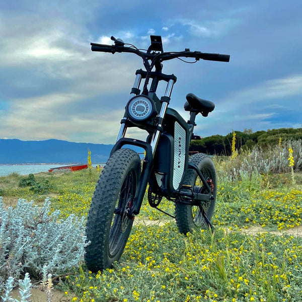 GUNAI MX25 Off-Road Electric Bike 4×20 Inch Wide Tires for Adult Fat Tires 1000W Brushless Motor 48V 25Ah Battery