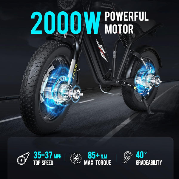 GTXR  & SAMEBIKE M20-III 2000W Electric Bicycle