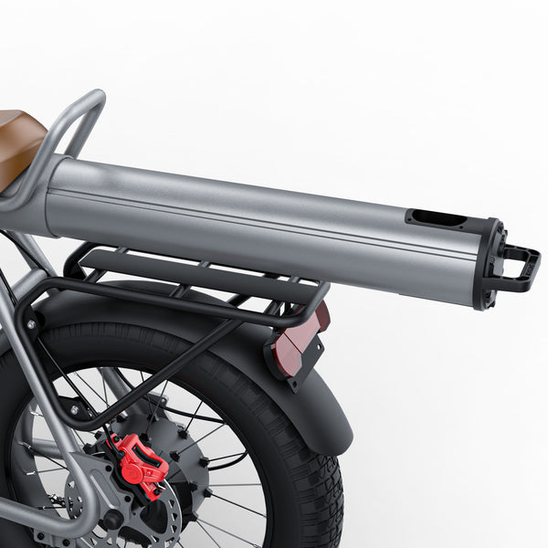 GTXR & COSWHEEL CT20 vélo électrique【Prévente】