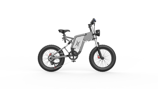GTXR X20 tout-terrain vélo électrique【Prévente pour un mois】