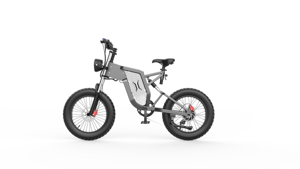 GTXR X20 tout-terrain vélo électrique【Prévente pour un mois】