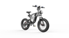 GTXR X20 tout-terrain vélo électrique【Prévente pour un mois】
