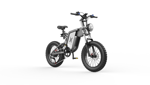 GTXR X20 tout-terrain vélo électrique【Prévente pour un mois】