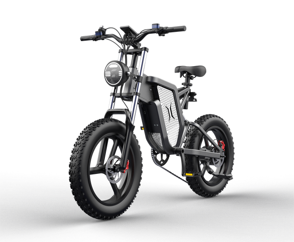 GTXR X20 tout-terrain vélo électrique【Prévente pour un mois】