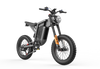 GTXR X21 tout-terrain vélo électrique【Prévente】