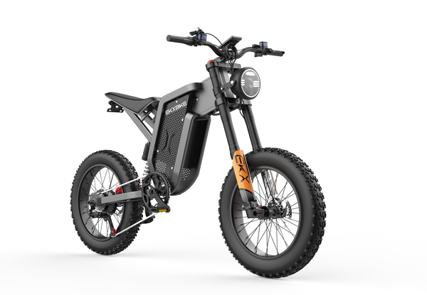 GTXR X21 tout-terrain vélo électrique【Prévente】