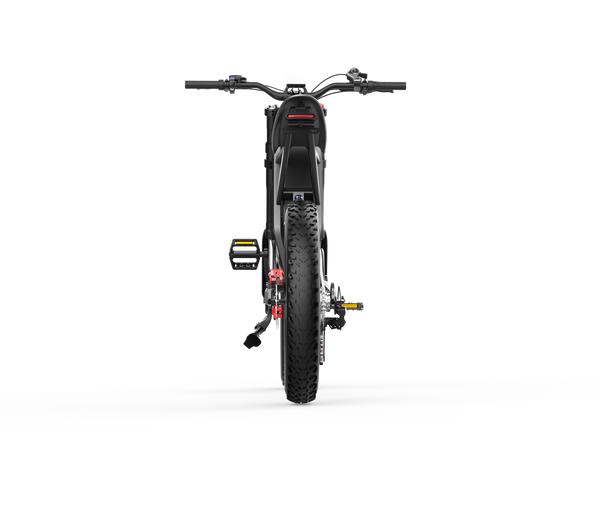 GTXR X21 tout-terrain vélo électrique【Prévente】