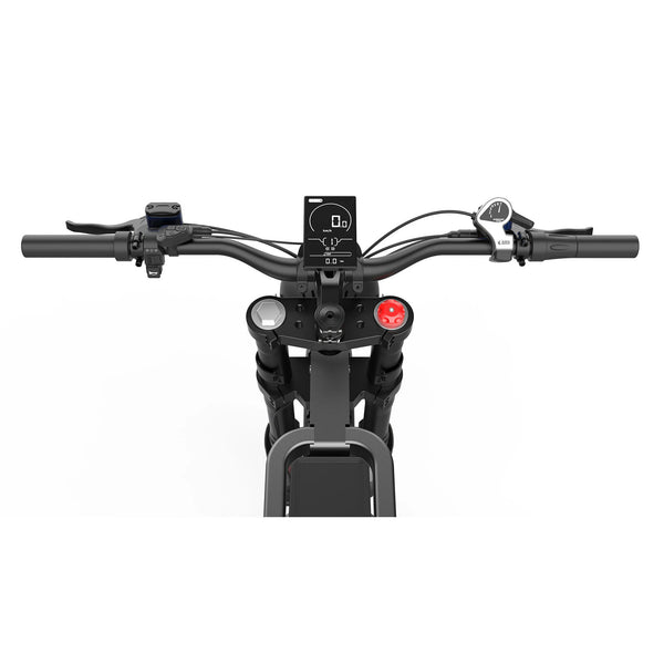 GTXR X21 tout-terrain vélo électrique【Prévente】