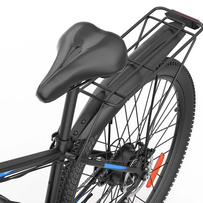 GTXR & Ridstar S29PRO 48V 1000W 21Ah Electric Bike