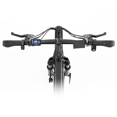 GTXR & Ridstar S29PRO 48V 1000W 21Ah Electric Bike