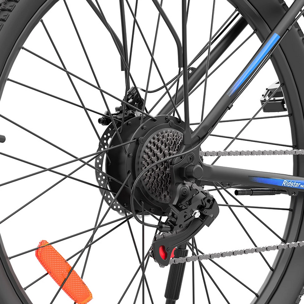 GTXR & Ridstar S29PRO 48V 1000W 21Ah Electric Bike