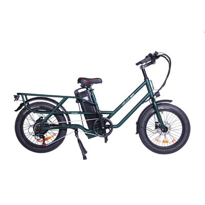 GOGOBEST GF200 Electric Food-delivery Luggage Cargo Bike 