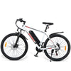 GTXR Z8 electric bike