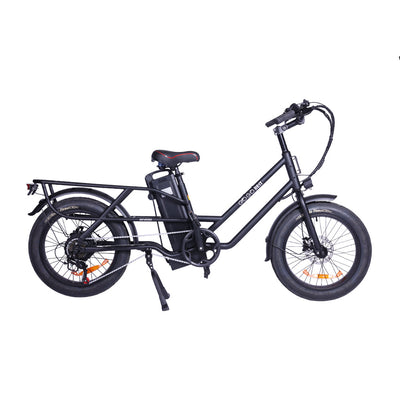 GOGOBEST GF200 Electric Food-delivery Luggage Cargo Bike 