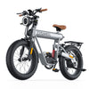 GTXR &amp; COSWHEEL T20R electric bike