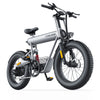 GTXR &amp; COSWHEEL T20 electric bike