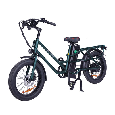 GOGOBEST GF200 Electric Food-delivery Luggage Cargo Bike 
