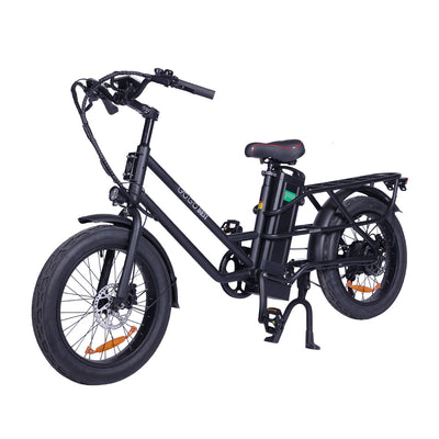 GOGOBEST GF200 Electric Food-delivery Luggage Cargo Bike 