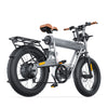 GTXR &amp; COSWHEEL T20R electric bike