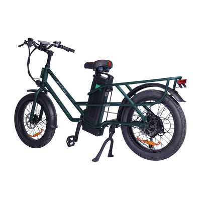 GOGOBEST GF200 Electric Food-delivery Luggage Cargo Bike 