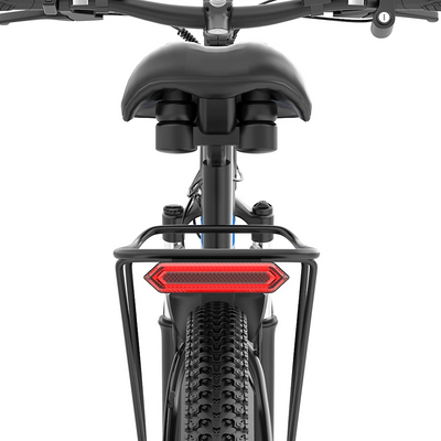 GTXR & Ridstar S29PRO 48V 1000W 21Ah Electric Bike