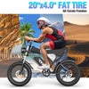 YVY C20 Fat Tire Electric Bicycle 1500w20AH 48V