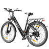 Polluno PLUS City E-bike with Drehmoment sensor 