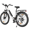Polluno PLUS City E-bike with Drehmoment sensor 