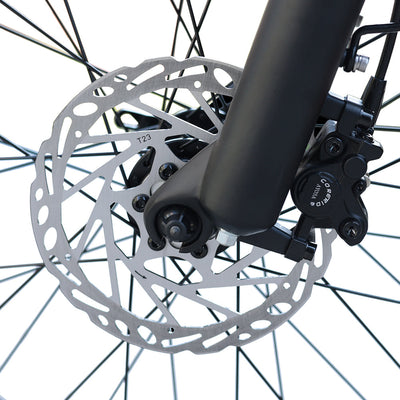 BEZIOR XF006 1200W Electric Mountain Bike