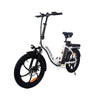 GTXR &amp; AVAKA BZ20 PLUS Electric Folding City Bike