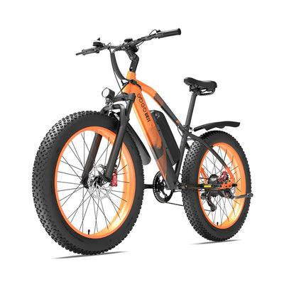 GTXR &amp; GOGOBEST GF600 plus electric bike