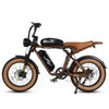 GTXR Z8 electric bike