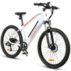 GTXR Z8 electric bike