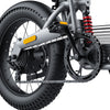 GTXR &amp; COSWHEEL T20 electric bike