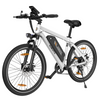 M100 E-Mountainbike with Heckmotor 375Wh
