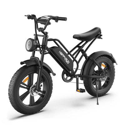 GTXR& Happyrun Electric Bike G50