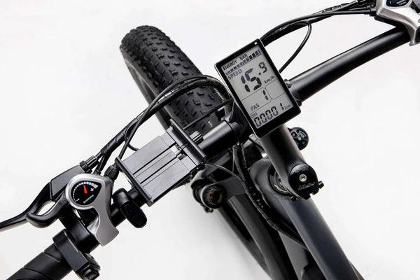 GTXR & Ridstar E Bike E26 1000W Motor 48V 15.6AH Battery【Prévente】