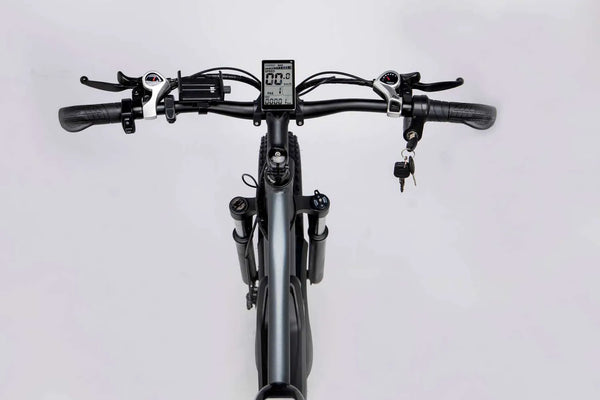 GTXR & Ridstar E Bike E26 1000W Motor 48V 15.6AH Battery【Prévente】