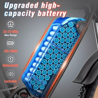 GTXR & Ridstar Q20 1500W 48V 20Ah Battery 20''Fat Tire Mountain Electric Bike for Adult