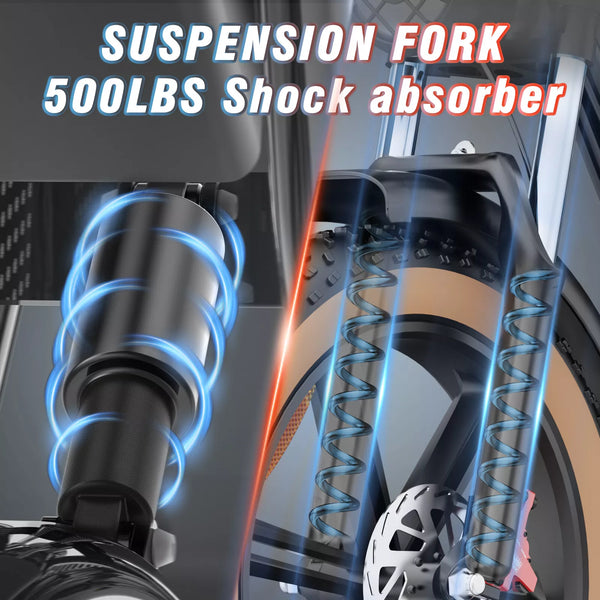 GTXR & Ridstar Q20 1500W 48V 20Ah Battery 20''Fat Tire Mountain Electric Bike for Adult