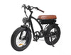 GTXR &amp; BEZIOR XF001 20 electric bike