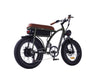 GTXR &amp; BEZIOR XF001 20 electric bike