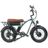 GTXR &amp; GOGOBEST GF750 electric bike