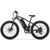 GTXR &amp; GOGOBEST GF600 electric bike 