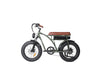 GTXR &amp; BEZIOR XF001 20 electric bike