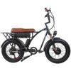 GTXR &amp; GOGOBEST GF750 electric bike