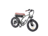 GTXR &amp; BEZIOR XF001 20 electric bike