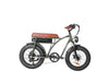 GTXR &amp; BEZIOR XF001 20 electric bike