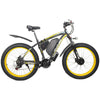 GTXR &amp; GOGOBEST GF700 electric mountain bike 